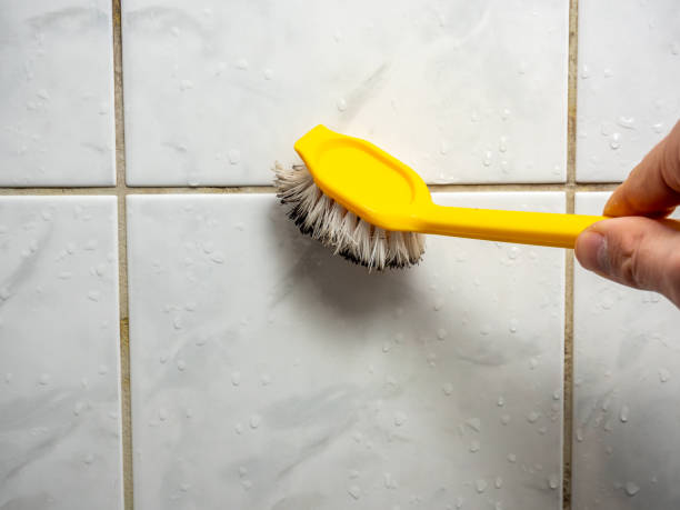 Office Mold Removal Services in Clinton, MD